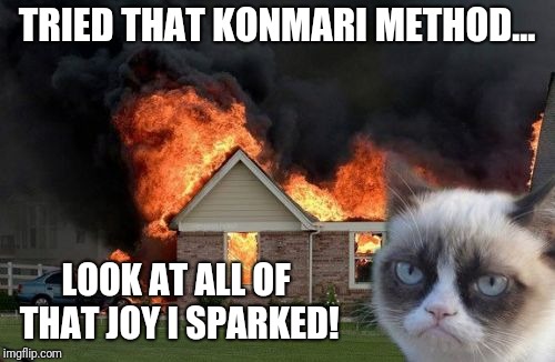 Burn Kitty | TRIED THAT KONMARI METHOD... LOOK AT ALL OF THAT JOY I SPARKED! | image tagged in memes,burn kitty,grumpy cat | made w/ Imgflip meme maker