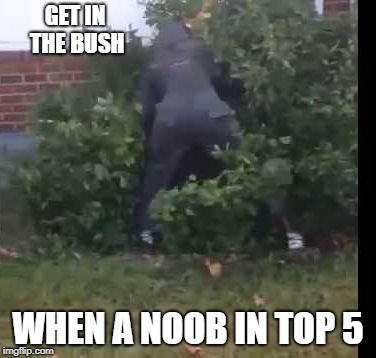 fortnit bush | GET IN THE BUSH; WHEN A NOOB IN TOP 5 | image tagged in fortnit bush | made w/ Imgflip meme maker