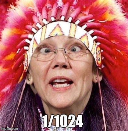 Elizabeth Warren | 1/1024 | image tagged in elizabeth warren | made w/ Imgflip meme maker