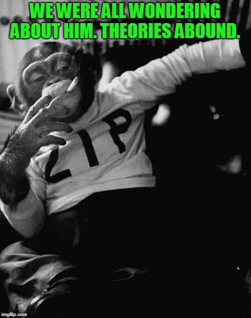 smoking monkey  | WE WERE ALL WONDERING ABOUT HIM. THEORIES ABOUND. | image tagged in smoking monkey | made w/ Imgflip meme maker