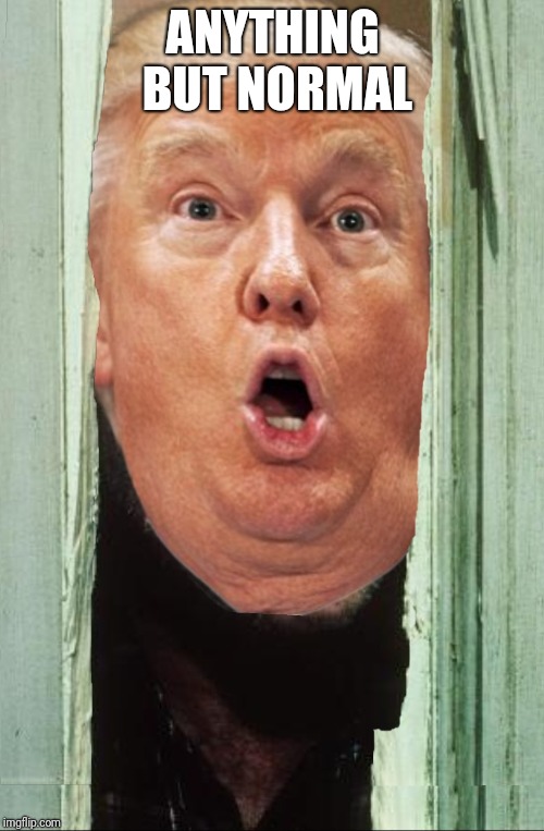 Here's Donald | ANYTHING BUT NORMAL | image tagged in here's donald | made w/ Imgflip meme maker