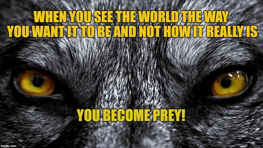 sage words | WHEN YOU SEE THE WORLD THE WAY YOU WANT IT TO BE AND NOT HOW IT REALLY IS; YOU BECOME PREY! | image tagged in prey | made w/ Imgflip meme maker