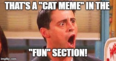 Is Grumpy Cat banned from the fun section now? | THAT'S A "CAT MEME" IN THE "FUN" SECTION! | image tagged in grumpy cat,funny meme,cat,funny | made w/ Imgflip meme maker