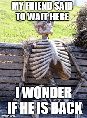 Waiting Skeleton Meme | MY FRIEND SAID TO WAIT HERE; I WONDER IF HE IS BACK | image tagged in memes,waiting skeleton | made w/ Imgflip meme maker