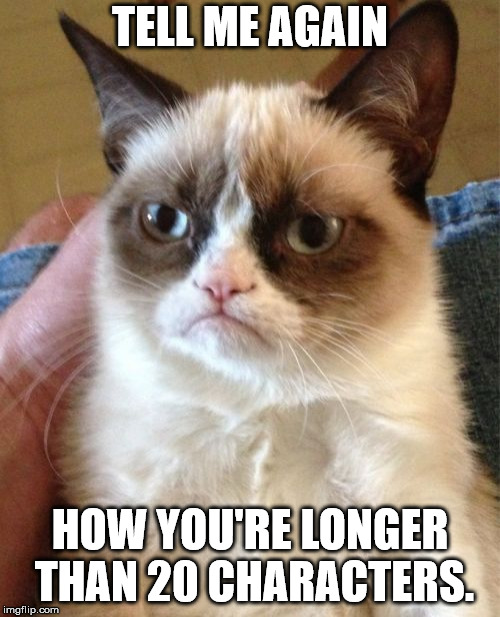 Grumpy Cat Meme | TELL ME AGAIN; HOW YOU'RE LONGER THAN 20 CHARACTERS. | image tagged in memes,grumpy cat | made w/ Imgflip meme maker