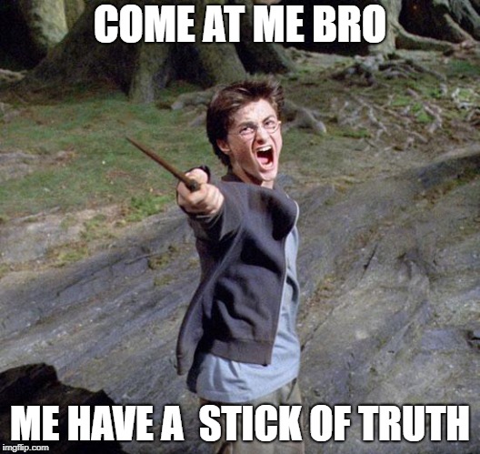 Harry potter | COME AT ME BRO; ME HAVE A  STICK OF TRUTH | image tagged in harry potter | made w/ Imgflip meme maker