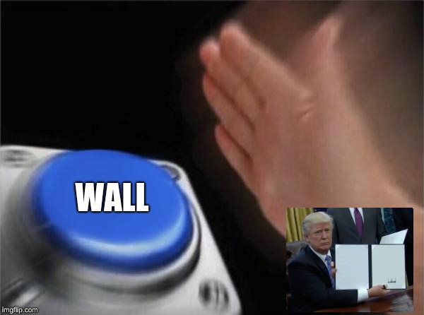 Blank Nut Button | WALL | image tagged in memes,blank nut button | made w/ Imgflip meme maker