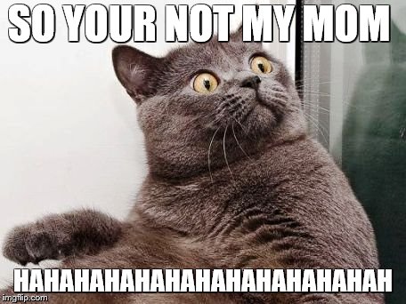 suprise cat | SO YOUR NOT MY MOM; HAHAHAHAHAHAHAHAHAHAHAHAH | image tagged in suprise cat | made w/ Imgflip meme maker