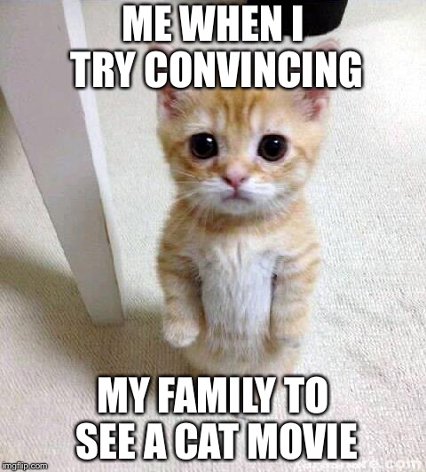 Cute Cat | ME WHEN I TRY CONVINCING; MY FAMILY TO SEE A CAT MOVIE | image tagged in memes,cute cat | made w/ Imgflip meme maker