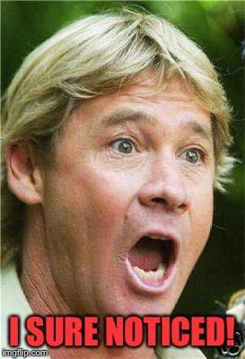 Steve Irwin shocked | I SURE NOTICED! | image tagged in steve irwin shocked | made w/ Imgflip meme maker