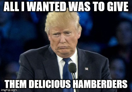 Sad Donald Trump | ALL I WANTED WAS TO GIVE; THEM DELICIOUS HAMBERDERS | image tagged in sad donald trump | made w/ Imgflip meme maker