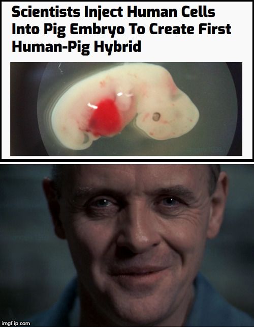 image tagged in bacon,cannibal,hannibal lecter,hybrid,silence of the lambs,food | made w/ Imgflip meme maker