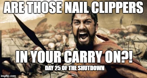 Sparta Leonidas Meme | ARE THOSE NAIL CLIPPERS; IN YOUR CARRY ON?! DAY 25 OF THE SHUTDOWN | image tagged in memes,sparta leonidas | made w/ Imgflip meme maker