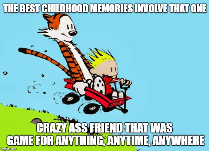 calvin and hobbes in wagon | THE BEST CHILDHOOD MEMORIES INVOLVE THAT ONE; CRAZY ASS FRIEND THAT WAS GAME FOR ANYTHING, ANYTIME, ANYWHERE | image tagged in calvin and hobbes in wagon | made w/ Imgflip meme maker