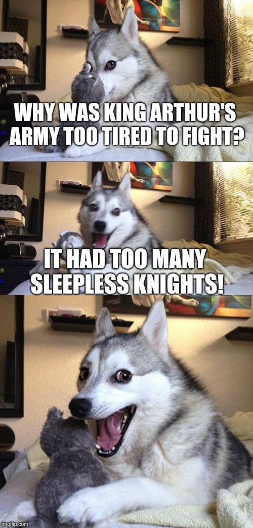 Bad Pun Dog Meme | WHY WAS KING ARTHUR'S ARMY TOO TIRED TO FIGHT? IT HAD TOO MANY SLEEPLESS KNIGHTS! | image tagged in memes,bad pun dog | made w/ Imgflip meme maker