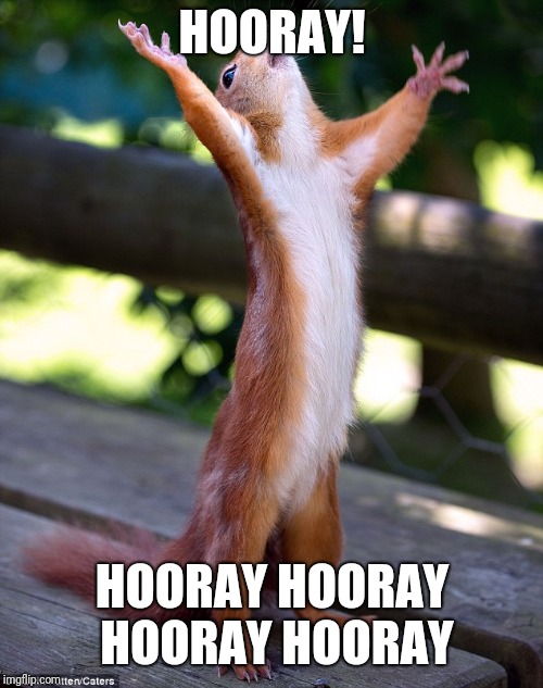 Hooray | HOORAY! HOORAY HOORAY HOORAY HOORAY | image tagged in hooray | made w/ Imgflip meme maker