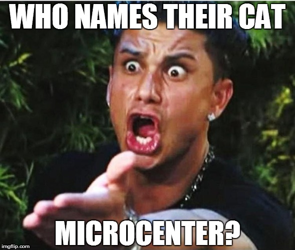 WHO NAMES THEIR CAT MICROCENTER? | made w/ Imgflip meme maker