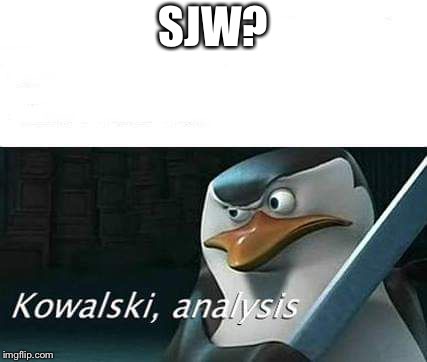 kowalski, analysis | SJW? | image tagged in kowalski analysis | made w/ Imgflip meme maker