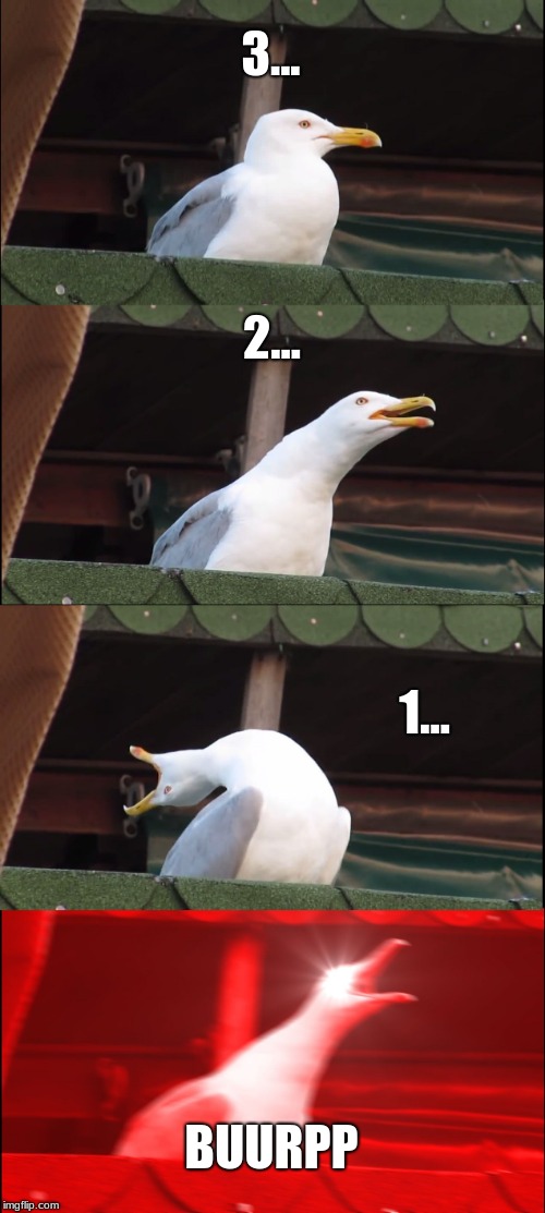 Inhaling Seagull | 3... 2... 1... BUURPP | image tagged in memes,inhaling seagull | made w/ Imgflip meme maker