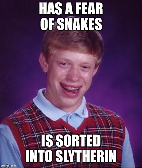 Bad Luck Brian Meme | HAS A FEAR OF SNAKES; IS SORTED INTO SLYTHERIN | image tagged in memes,bad luck brian | made w/ Imgflip meme maker