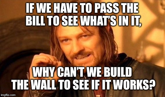 One Does Not Simply Meme | IF WE HAVE TO PASS THE BILL TO SEE WHAT’S IN IT, WHY CAN’T WE BUILD THE WALL TO SEE IF IT WORKS? | image tagged in memes,one does not simply | made w/ Imgflip meme maker