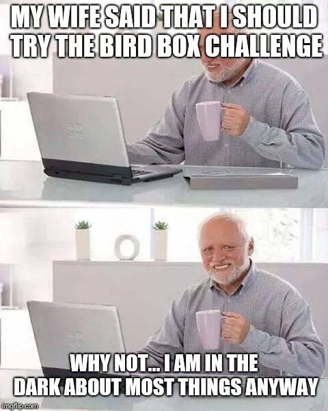 Hide the Pain Harold Meme | MY WIFE SAID THAT I SHOULD TRY THE BIRD BOX CHALLENGE; WHY NOT... I AM IN THE DARK ABOUT MOST THINGS ANYWAY | image tagged in memes,hide the pain harold | made w/ Imgflip meme maker