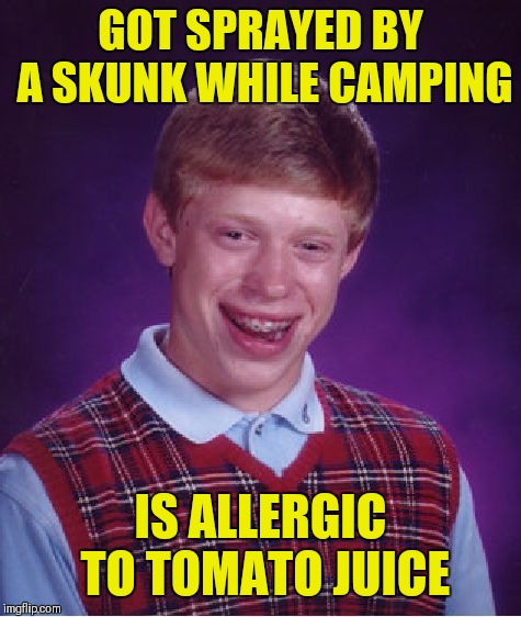 Bad Luck Stinky | GOT SPRAYED BY A SKUNK WHILE CAMPING; IS ALLERGIC TO TOMATO JUICE | image tagged in memes,bad luck brian,skunk,camping,tomatoes,memes 2019 | made w/ Imgflip meme maker