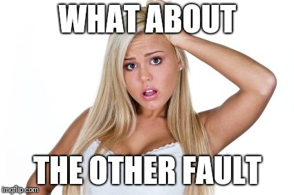 Dumb Blonde | WHAT ABOUT THE OTHER FAULT | image tagged in dumb blonde | made w/ Imgflip meme maker