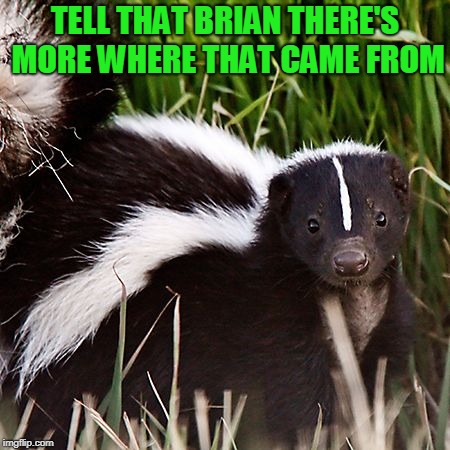 skunk | TELL THAT BRIAN THERE'S MORE WHERE THAT CAME FROM | image tagged in skunk | made w/ Imgflip meme maker
