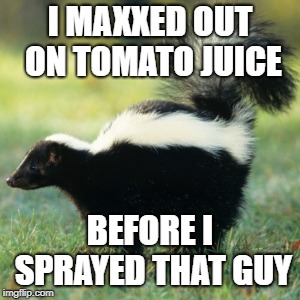 Skunk | I MAXXED OUT ON TOMATO JUICE BEFORE I SPRAYED THAT GUY | image tagged in skunk | made w/ Imgflip meme maker
