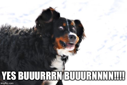 Crazy Dawg Meme | YES BUUURRRN BUUURNNNN!!!! | image tagged in memes,crazy dawg | made w/ Imgflip meme maker