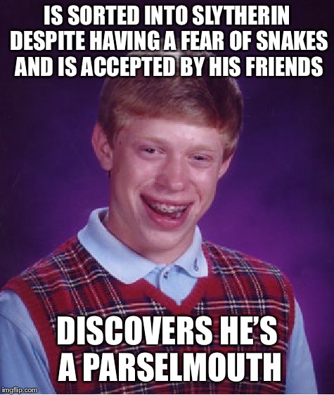 “Shoo! I won’t talk to you. Now, go! Out!” | IS SORTED INTO SLYTHERIN DESPITE HAVING A FEAR OF SNAKES AND IS ACCEPTED BY HIS FRIENDS; DISCOVERS HE’S A PARSELMOUTH | image tagged in memes,bad luck brian | made w/ Imgflip meme maker