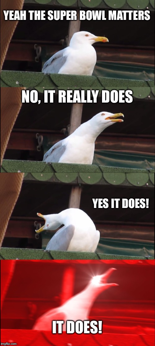 Inhaling Seagull Meme | YEAH THE SUPER BOWL MATTERS; NO, IT REALLY DOES; YES IT DOES! IT DOES! | image tagged in memes,inhaling seagull | made w/ Imgflip meme maker