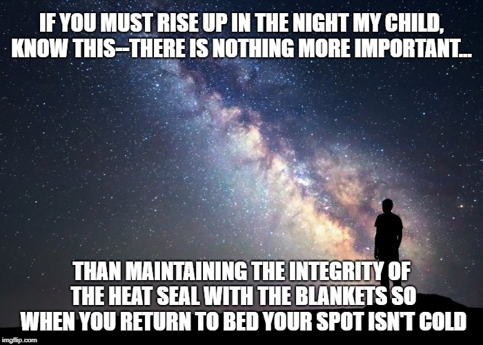 Priorities | IF YOU MUST RISE UP IN THE NIGHT MY CHILD, KNOW THIS--THERE IS NOTHING MORE IMPORTANT... THAN MAINTAINING THE INTEGRITY OF THE HEAT SEAL WITH THE BLANKETS SO WHEN YOU RETURN TO BED YOUR SPOT ISN'T COLD | image tagged in memes,sleep,blanket,heat,hot,bedtime | made w/ Imgflip meme maker
