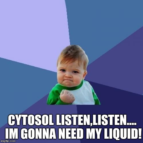 Success Kid Meme | CYTOSOL LISTEN,LISTEN.... IM GONNA NEED MY LIQUID! | image tagged in memes,success kid | made w/ Imgflip meme maker