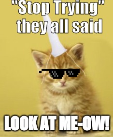 When the cat is better than you'll ever be | "Stop Trying" they all said; LOOK AT ME-OW! | image tagged in look at me,im better than you,lol,cat-icorn | made w/ Imgflip meme maker