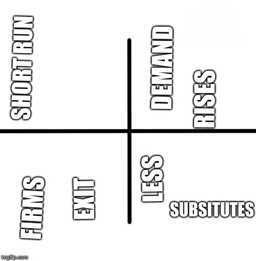 Blank Starter Pack | DEMAND; SHORT RUN; RISES; LESS; EXIT; FIRMS; SUBSITUTES | image tagged in memes,blank starter pack | made w/ Imgflip meme maker
