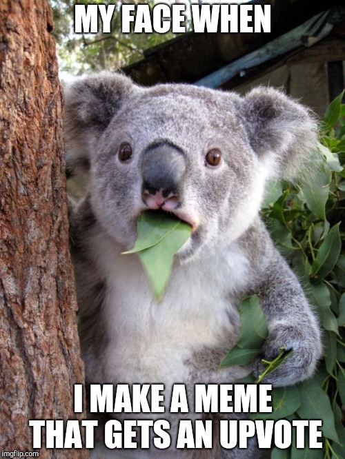 shocked koala | MY FACE WHEN; I MAKE A MEME THAT GETS AN UPVOTE | image tagged in shocked koala | made w/ Imgflip meme maker