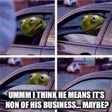 Kirmit in car  | UMMM I THINK HE MEANS IT’S NON OF HIS BUSINESS... MAYBE? | image tagged in kirmit in car | made w/ Imgflip meme maker