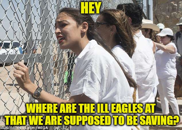 HEY; WHERE ARE THE ILL EAGLES AT THAT WE ARE SUPPOSED TO BE SAVING? | image tagged in alexandria ocasio-cortez,libtards,illegal aliens,border,democrats | made w/ Imgflip meme maker