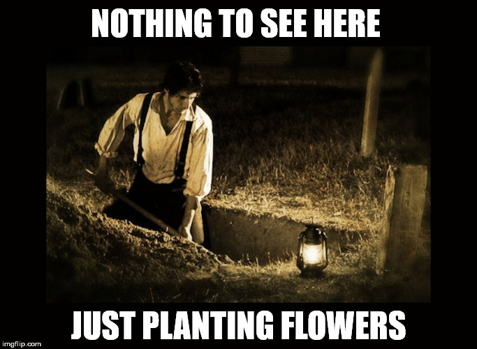 Well their names were Petunia and Rose | NOTHING TO SEE HERE JUST PLANTING FLOWERS | image tagged in grave digger | made w/ Imgflip meme maker