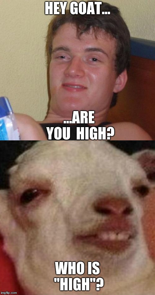 Who the hell is "high"? | HEY GOAT... ...ARE YOU  HIGH? WHO IS "HIGH"? | image tagged in memes,10 guy | made w/ Imgflip meme maker