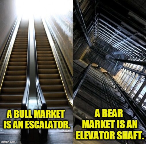 Draw your own conclusions. | A BEAR MARKET IS AN ELEVATOR SHAFT. A BULL MARKET IS AN ESCALATOR. | image tagged in bull market,bear market | made w/ Imgflip meme maker