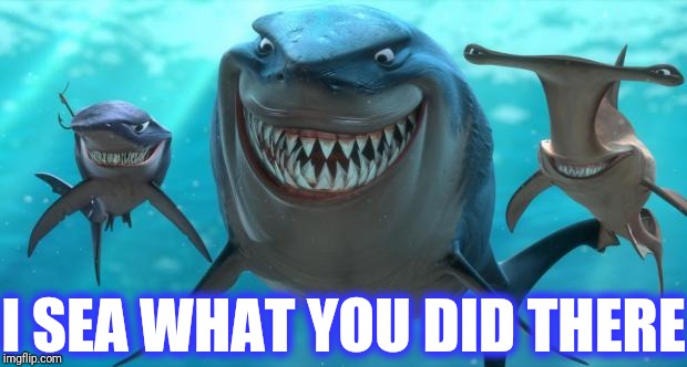 Fish are friends not food | I SEA WHAT YOU DID THERE | image tagged in fish are friends not food | made w/ Imgflip meme maker
