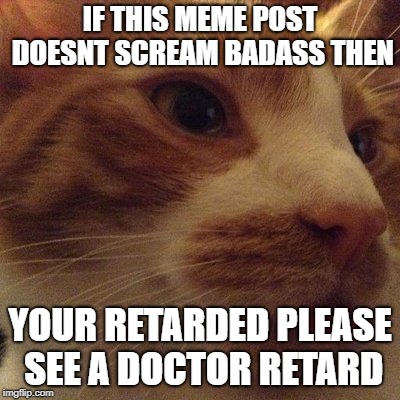 serious... | IF THIS MEME POST DOESNT SCREAM BADASS THEN; YOUR RETARDED PLEASE SEE A DOCTOR RETARD | image tagged in idiot,badass wootshack,bro,bad luck brian | made w/ Imgflip meme maker