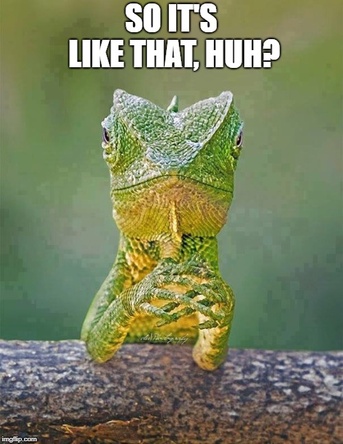 Sarcastic Lizard | SO IT'S LIKE THAT, HUH? | image tagged in sarcastic lizard | made w/ Imgflip meme maker