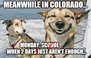 Original Stoner Dog Meme | MEANWHILE IN COLORADO... MONDAY: SCHOOL
             WHEN 2 DAYS JUST AREN'T ENOUGH... | image tagged in memes,original stoner dog | made w/ Imgflip meme maker