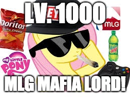 MLG Pony | LV. 1000 MLG MAFIA LORD! | image tagged in mlg pony | made w/ Imgflip meme maker