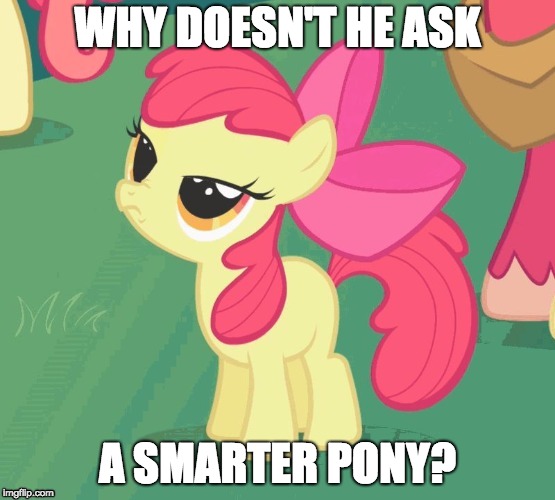 BS Apple Bloom | WHY DOESN'T HE ASK A SMARTER PONY? | image tagged in bs apple bloom | made w/ Imgflip meme maker