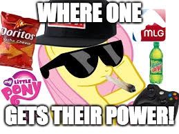 MLG Pony | WHERE ONE GETS THEIR POWER! | image tagged in mlg pony | made w/ Imgflip meme maker